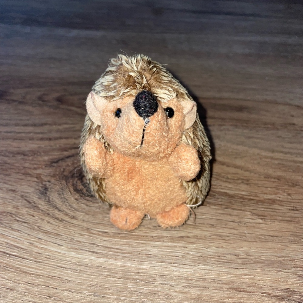 Plush Hedgehog Toy